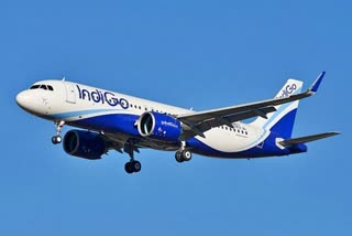 IndiGo airlines