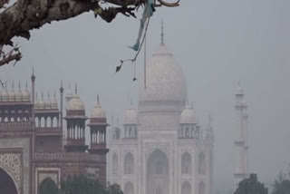 Taj Mahal tourist visits dropped, Footfall to Taj Mahal dropped due to COVID 19, footfall of tourists to Taj Mahal, 2020 due to worldwide COVID situation, தாஜ் மகால் இழப்பு, தாஜ் மஹால் இழப்பு, தாஜ் மஹால் வருவாய், கோவிட் 19 தாக்கம், taj mahal news, latest business news, business news in tamil, tamil business news, வணிக செய்திகள்