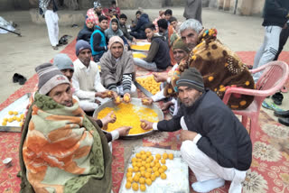 20 quintal desi ghee laddus for farmers