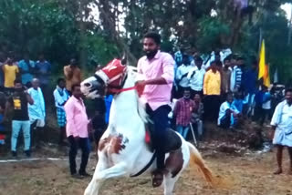 Horse racing competitions at Narayanaravupeta