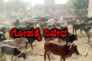 Karnataka anti-cow slaughter law effective from today