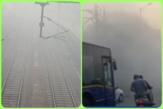 Fog affected road and rail traffic in Delhi