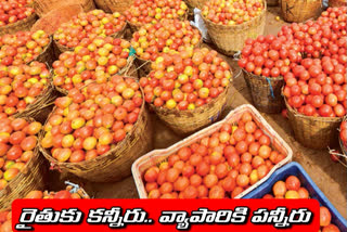 tomato farmers are left with losses but traders are making gains in telangana state