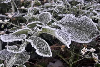 ice sheet in chilfi valley