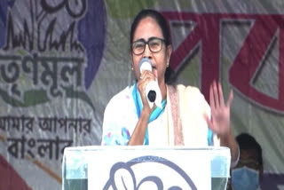 mamata-said-that-she-will-contest-election-from-nandigram