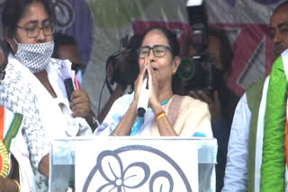 i have not bank so I could not hold on, said mamata banerjee from Nandigram