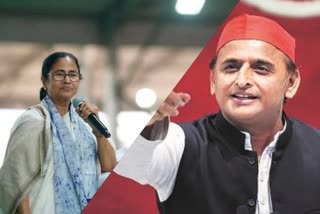 Akhilesh Yadav will support mamata banerjee in ২০২১ election