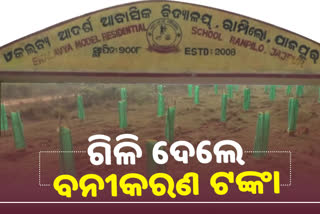 extensive corruption allegations in the name of afforestation in  jajpur