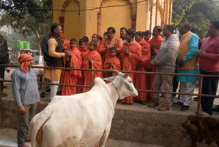 गौशाला पहुंचे मंत्री