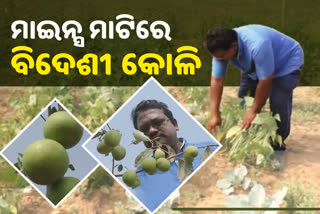 DILIP MAHANTY SET AN EXAMPLE BY FARMING IN A MINES AREA OF JAJPUR