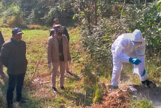 dead crow found in bhoranj