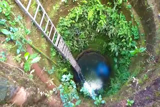 woman was found dead in well in Vandoor  വണ്ടൂരിൽ കിണറ്റിൽ സ്ത്രീയെ മരിച്ച നിലയിൽ കണ്ടെത്തി  42കാരിയെ കിണറ്റിൽ മരിച്ച നിലയിൽ കണ്ടെത്തി  മലപ്പുറം വണ്ടൂരിൽ സ്ത്രീയെ കരണറ്റിൽ കണ്ടെത്തി