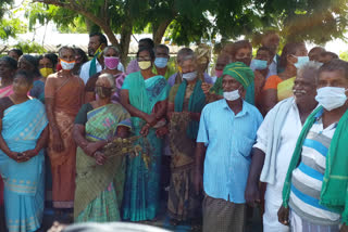 Tuticorin Farmers besiege collector's office Tuticorin Farmers besiege crops Tuticorin latest news Tuticorin district news விவசாயிகள் முற்றுகையிட்டு போராட்டம் பயிருக்கு இழப்பீடு ஆட்சியர் அலுவலகத்தை முற்றுகையிட்ட விவசாயிகள் விவசாயிகள் தூத்துக்குடி மாவட்ட செய்திகள்