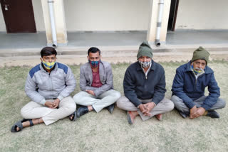 4 accused arrested in Sikar,  Rajasthan News