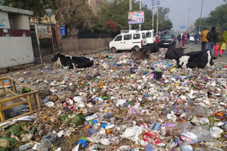 People facing litter pile problem near sanjay gandhi hospital in Outer Delhi