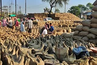 paddy purchase in raipur