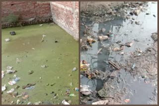 Residents of Mir Vihar of Kirari Assembly are living with lack of basic amenities