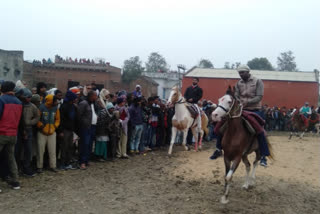 महाराणा प्रताप घोड़ा दौड़ प्रतियोगिता