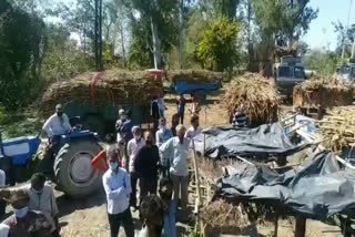 haldwani cane farmers