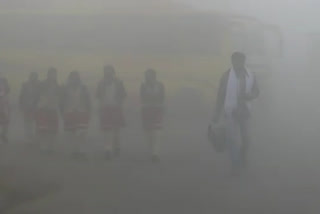 Mandsaur in the fog