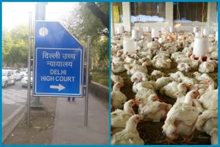 Hearing deferred on petition seeking to stop killing of chickens in Ghazipur Murga Mandi