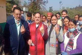 BJP national president JP Nadda voted in hinmachal panchayat election