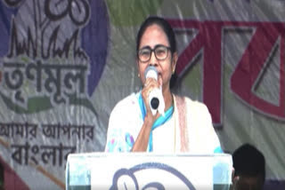 state bjp president criticizes cm Mamata Banerjee on election contest