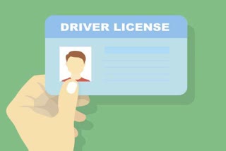 driving-license