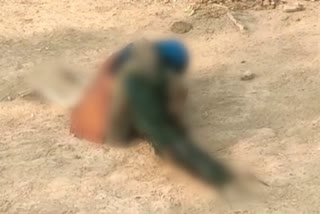 peacock died in Keshavaraipatan, Bundi news