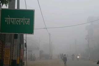 cold in gopalganj