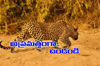 The leopard has caused a stir in the Pahadi Sharif police station in Rangareddy district.