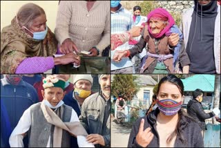 panchayat election in mandi