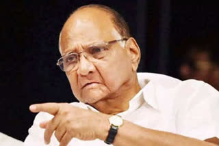 Sharad Pawar, Uddhav Thackeray to protest against new agrarian laws