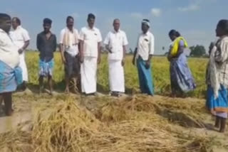 முதுகுளத்தூர் எம்எல்ஏ ஆய்வு