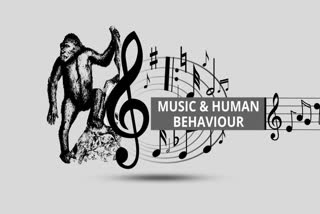 protomusic , primates