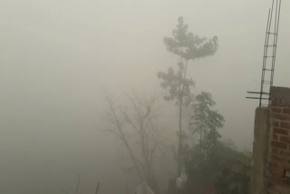 The dense fog in Sahibganj