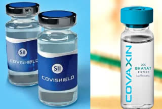 covishield, covaxin, bharat biotech, serum institute of india covid vaccine, serum institute of india covid vaccine