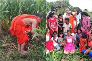 Palimaru Shri Harvested forage