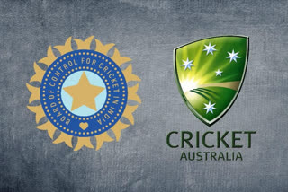 cricket australia