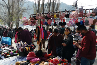 Sarovar nagri nainital buzzed with the influx of tourists