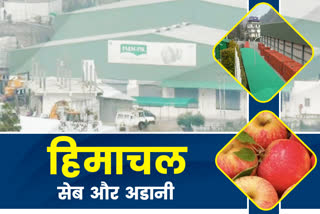 Adani Agri Fresh shimla, अडानी एग्री फ्रेश शिमला