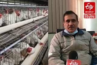 Tips to avoid bird flu by experts