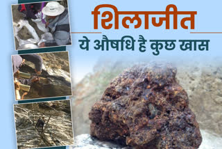 Benefits of shilajit, शिलाजीत के फायदे