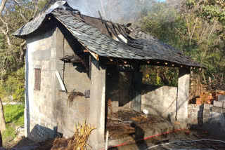 Fire incident in Hiran Panchayat, ज्वालामुखी की हिरण पंचायत में लगी आग