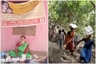 Medical team camp succeed at Tulasi valley in Malkangiri