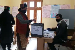 Panchayat elections continue in Kinnaur