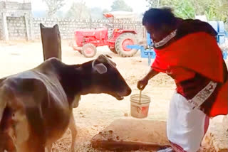 nand kumar sai said that bhupesh govt is doing good work for cows in state