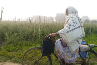 woman peddles to sell milk