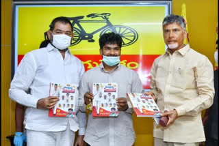 tdp chief chandra babu