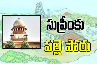 ap, local body elections